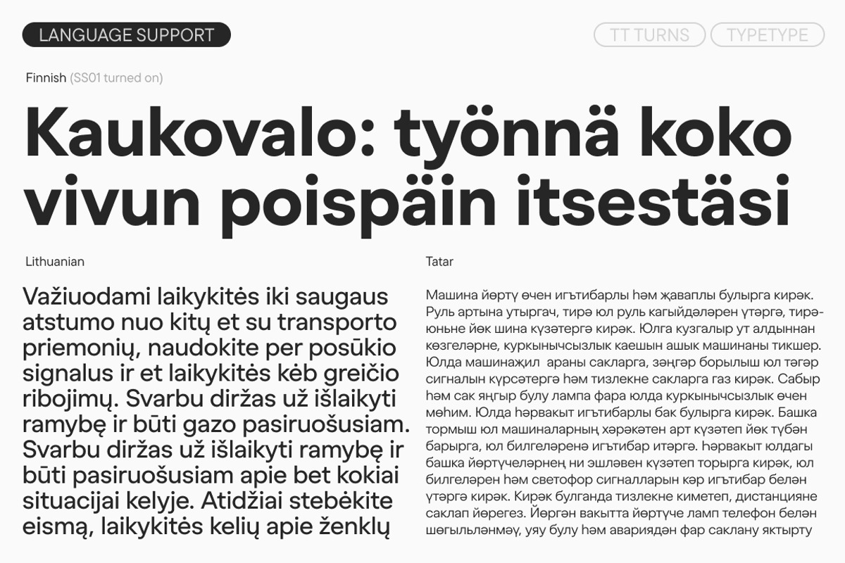 TT Turns, a Sans Serif Font by TypeType (Photo 12 of 26)