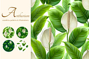 Anthurium flowers, a Pattern Graphic by Sundra (Thumbnail 1 of 15)