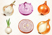 Watercolor Onion Clipart, an Illustration by Libby Wishes (Thumbnail 4 of 6)