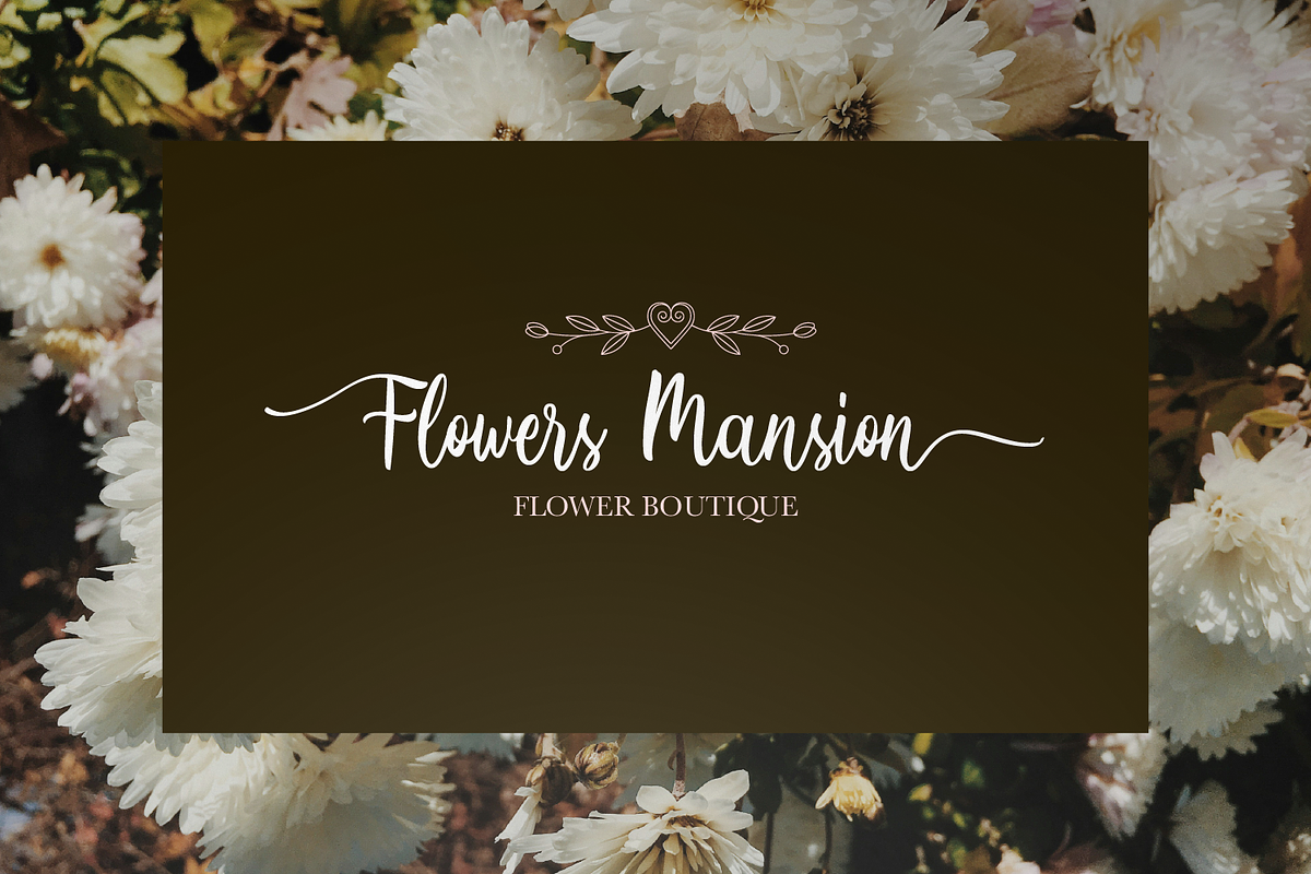 Jolliners - Modern Script Font, a Handwritten Font by Haps Space (Photo 8 of 11)