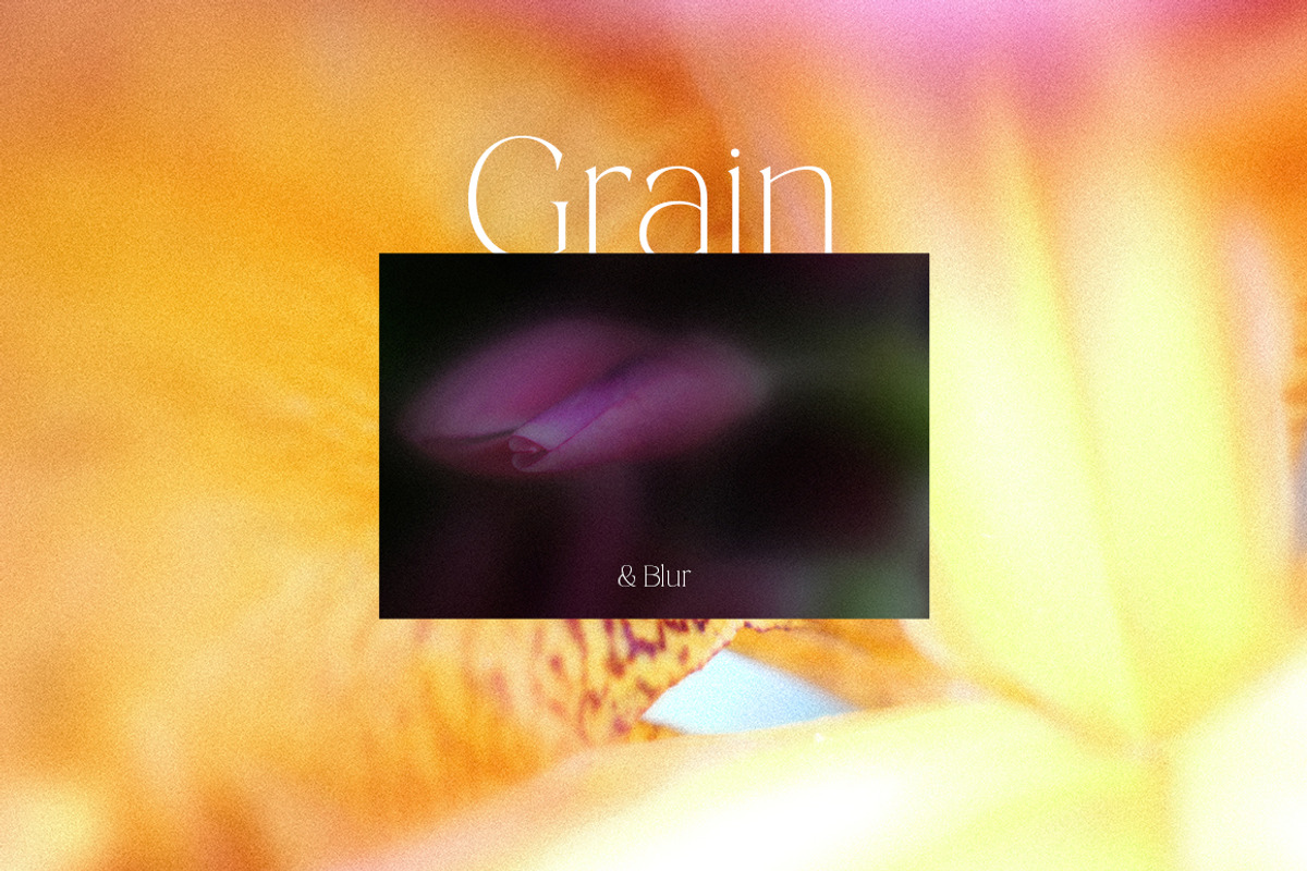 Dreamy Blurred Floral Backgrounds, a Background Graphic by dlinnaya (Photo 3 of 9)