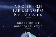 Fyorin Elegance Serif Font, a Serif Font by Rasio Studio (Thumbnail 2 of 11)