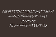 Millariana Handwritten Font., a Handwritten Font by VectorCraft (Thumbnail 3 of 5)