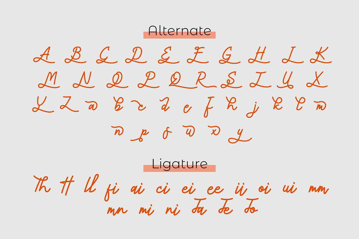 The Abhora, a Script Font by Rishsketch (Photo 11 of 14)