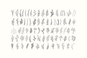 Winter Foliage collection, a Decorative Illustration by Merfin (Thumbnail 11 of 14)