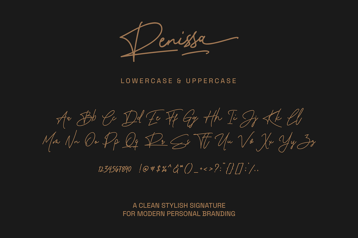 Renissa Signature Font, a Script Font by Rocket Template (Photo 2 of 14)