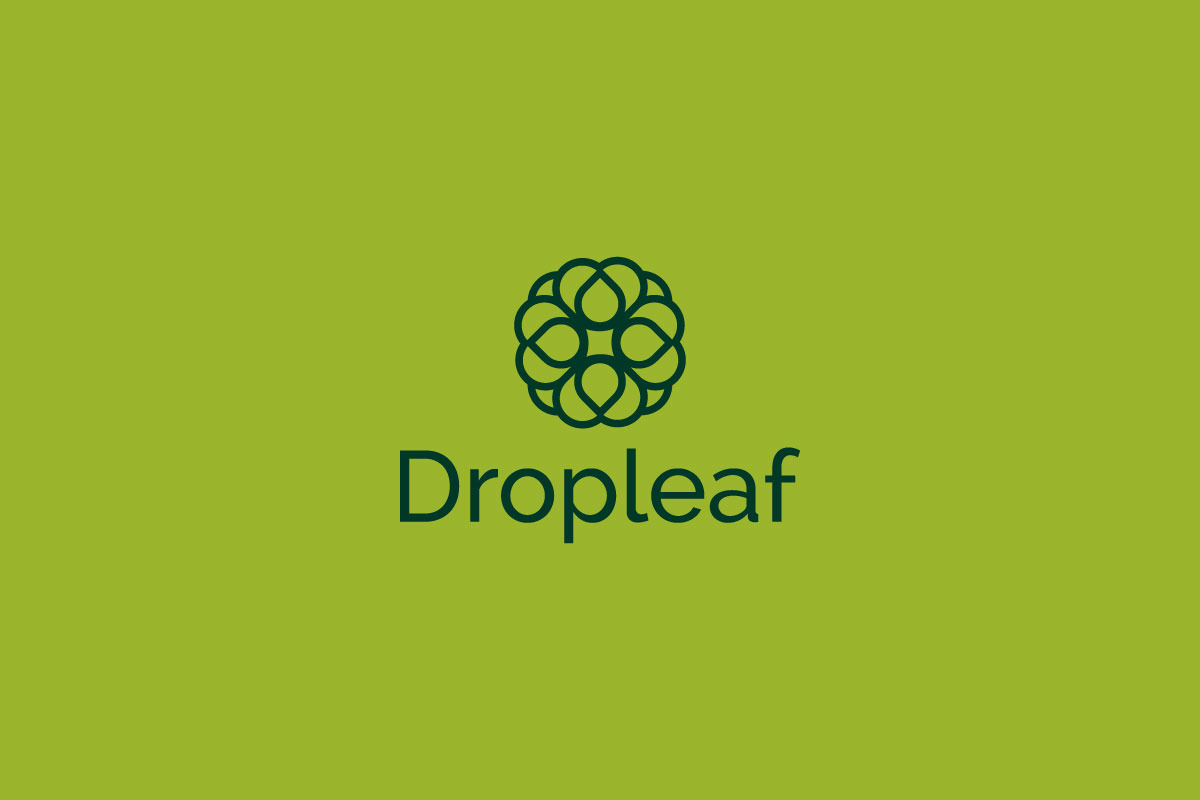 Dropleaf – Modern Nature Logo Design, a Branding & Logo Template by arhabib (Photo 11 of 13)