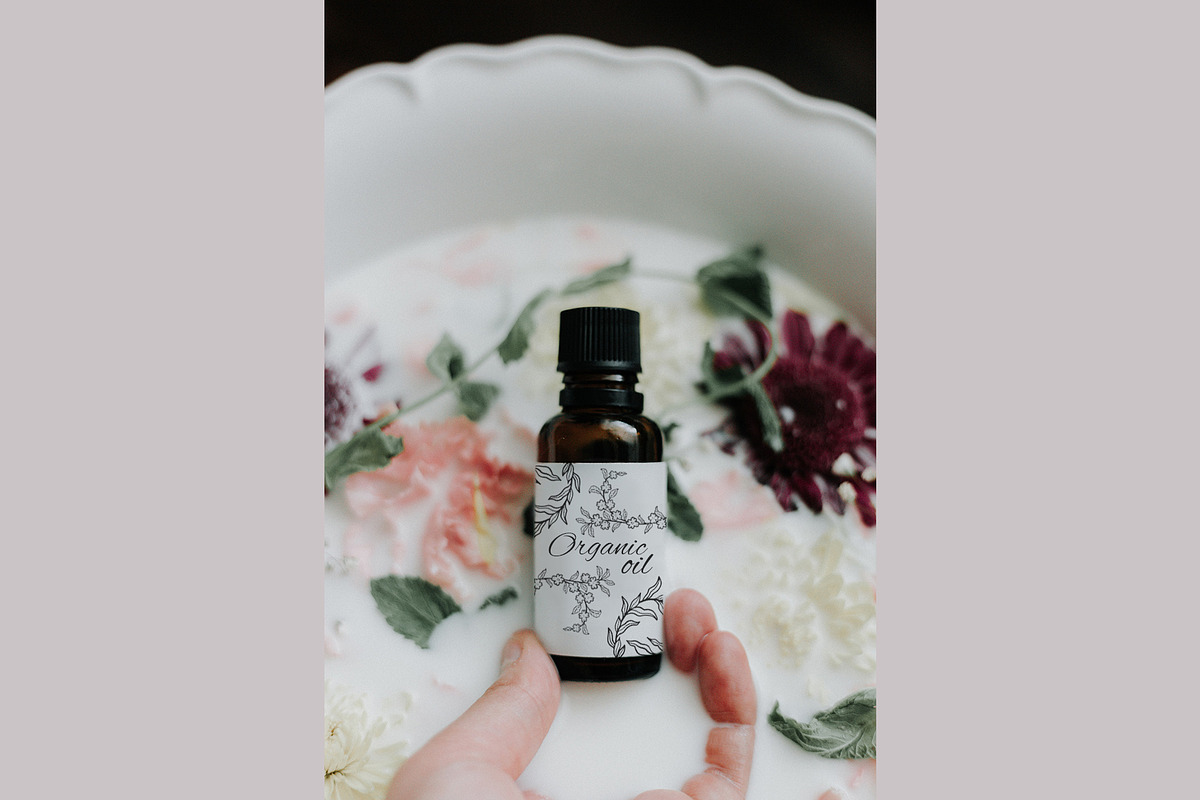 Floral engravings- botanical set, a Decorative Illustration by Moonflora (Photo 6 of 6)