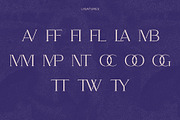 Kangri: Unique Elegant Stencil Serif, a Serif Font by Studio Aurora (Thumbnail 7 of 8)