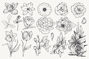 Linear vector flowers set, an Illustration by Color and Decor (Thumbnail 2 of 3)