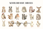 Woodland Baby Animals Illustrations, an Animal Illustration by youtoview (Thumbnail 6 of 15)