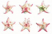 Whimsical Summer starfish clipart, an Illustration by Designworld (Thumbnail 3 of 8)