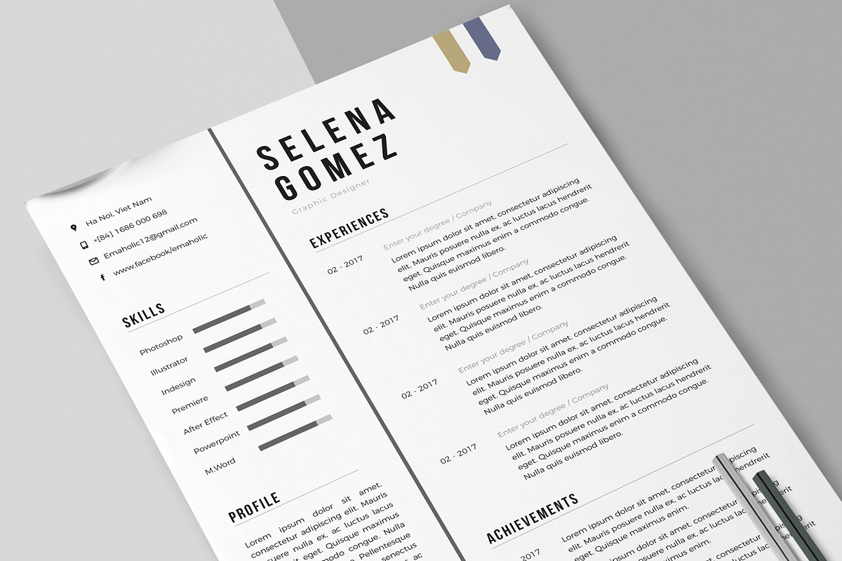 Professional Cv Template, a Resume Template by Emaholic Template (Photo 4 of 5)