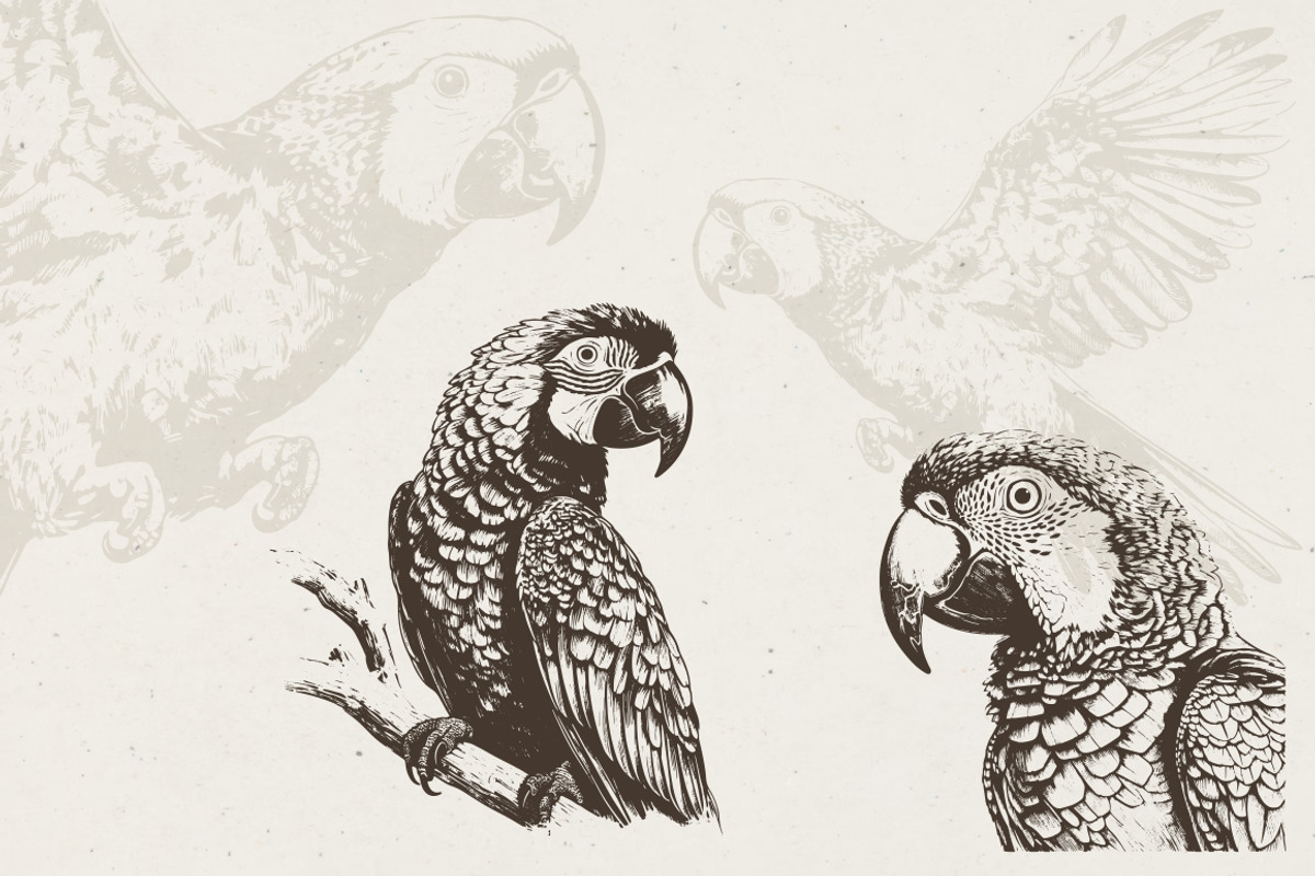 260 Birds Illustrations, an Animal Illustration by Nocturnal Wolf (Photo 3 of 13)