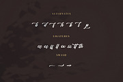 Chalestend, a Script Font by Goresan Studio (Thumbnail 12 of 15)