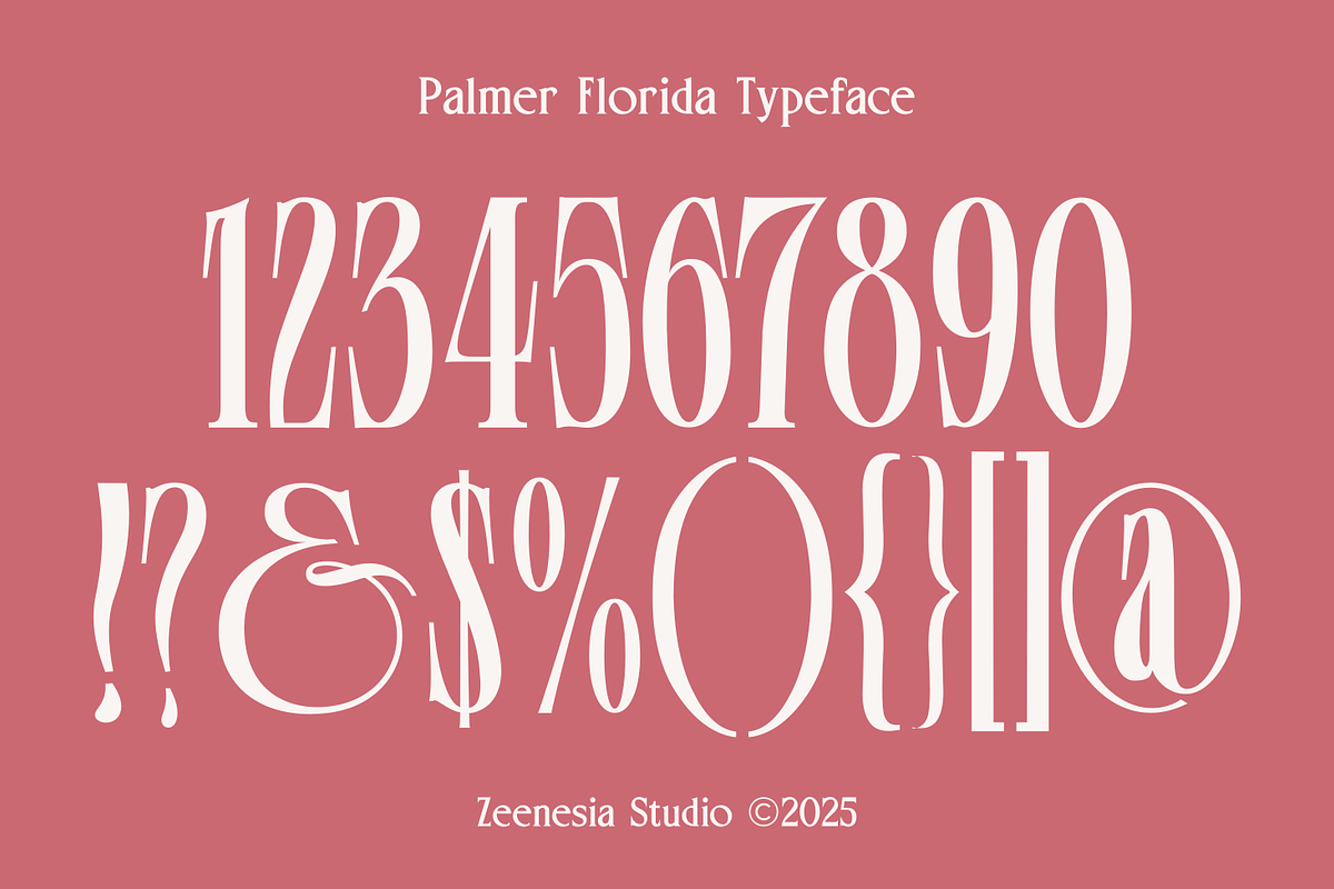 Palmer Florida, a Serif Font by zeenesia (Photo 18 of 18)