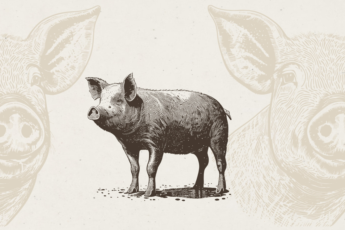 Farm Animals Illustrations, an Animal Illustration by Nocturnal Wolf (Photo 7 of 14)