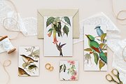 1150 Vintage Bird Illustratins, an Animal Illustration by Lilithcollageart (Thumbnail 6 of 10)