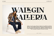 KAMIN UNIQUE LIGATURE SERIF TYPEFAC, a Serif Font by yaqublekker (Thumbnail 7 of 8)
