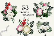 Protea - tropical collection, a Texture Illustration by Backyard Rose (Thumbnail 7 of 22)