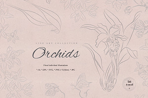 Orchids. Line Art Collection