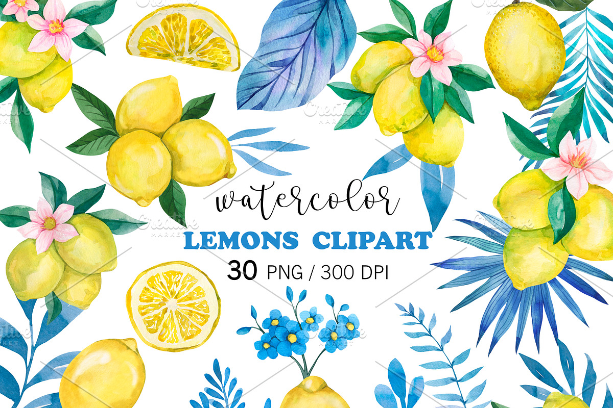Watercolor Amalfi Lemon Clipart PNG, a Food Illustration by PatternPalette (Photo 1 of 3)
