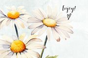 Daisy Flowers Watercolor Clipart Set, a Decorative Illustration by Loony Dream Designs (Thumbnail 4 of 4)
