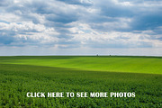 3 x MEGA PHOTO PACK, a Templates & Theme by Zabiegala MP (Thumbnail 11 of 14)