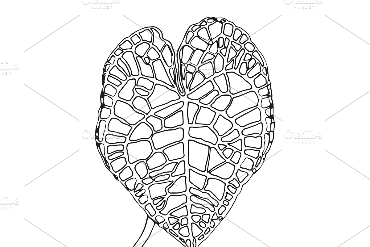 Palm Leaves svg, Botanical png, a Decorative Illustration by Watercolor_Vector Graphic (Photo 7 of 25)