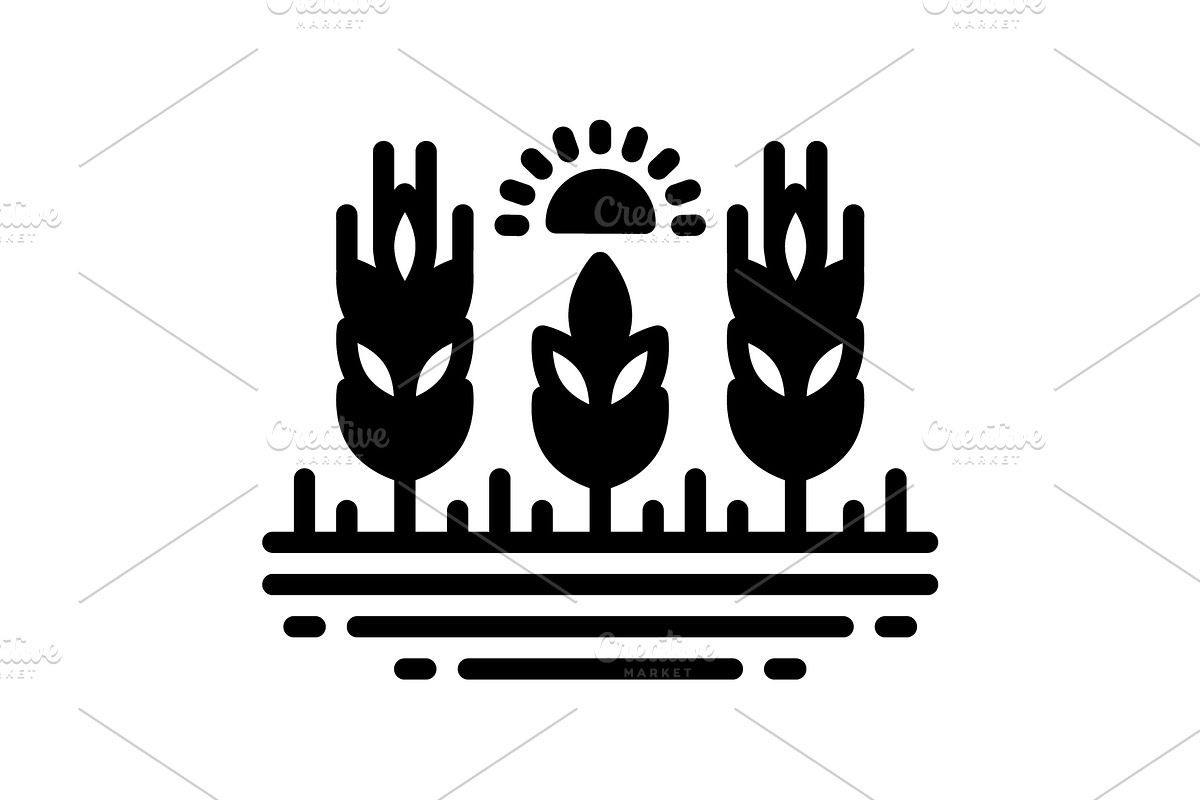 Harvest wheat solid icon, a Solid Icon by Creative priyanka