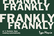 Frankly TM – Rugged Misprint Font, a Sans Serif Font by Type Mania (Thumbnail 1 of 11)