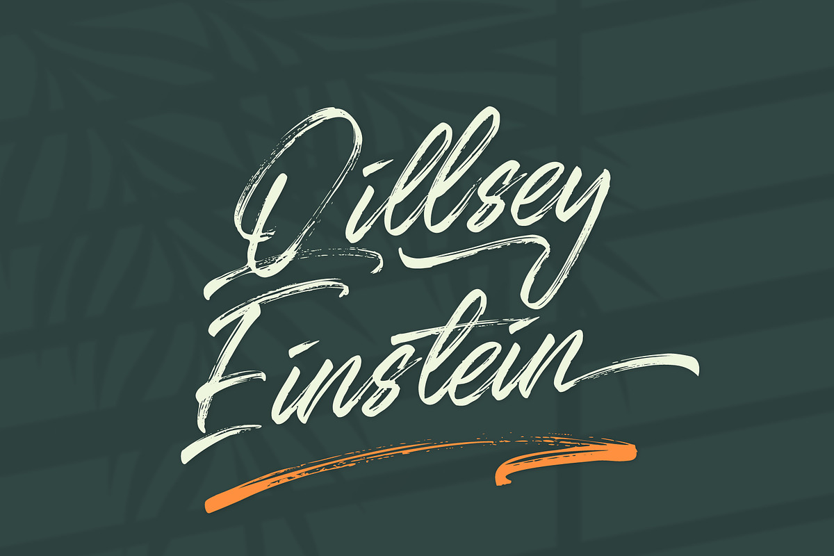 Qillsey Einstein - Handbrush, a Script Font by Monoco Type Foundry (Photo 12 of 12)