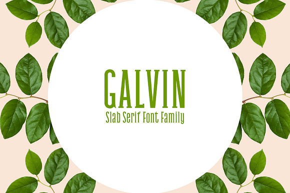 Galvin Slab Serif Font Family Pack preview 7