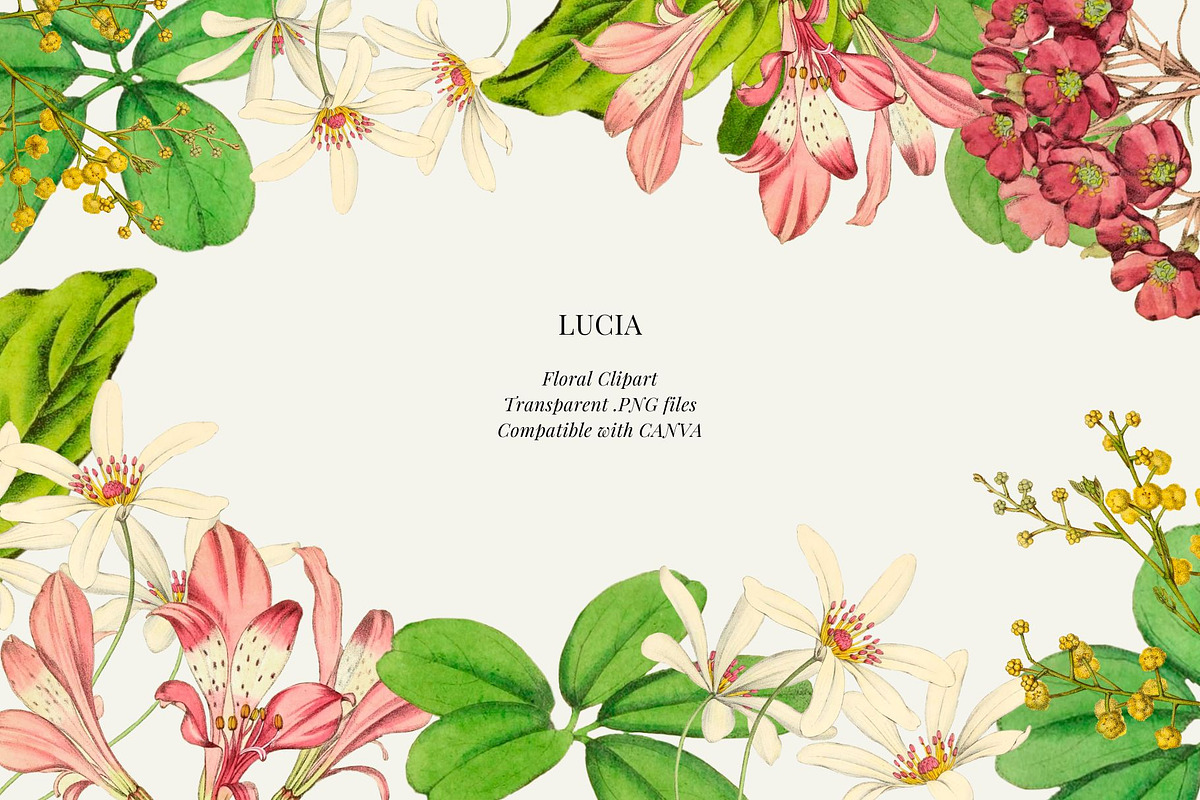 Vintage flowers and leaves, a Decorative Illustration by AS Studio (Photo 4 of 4)