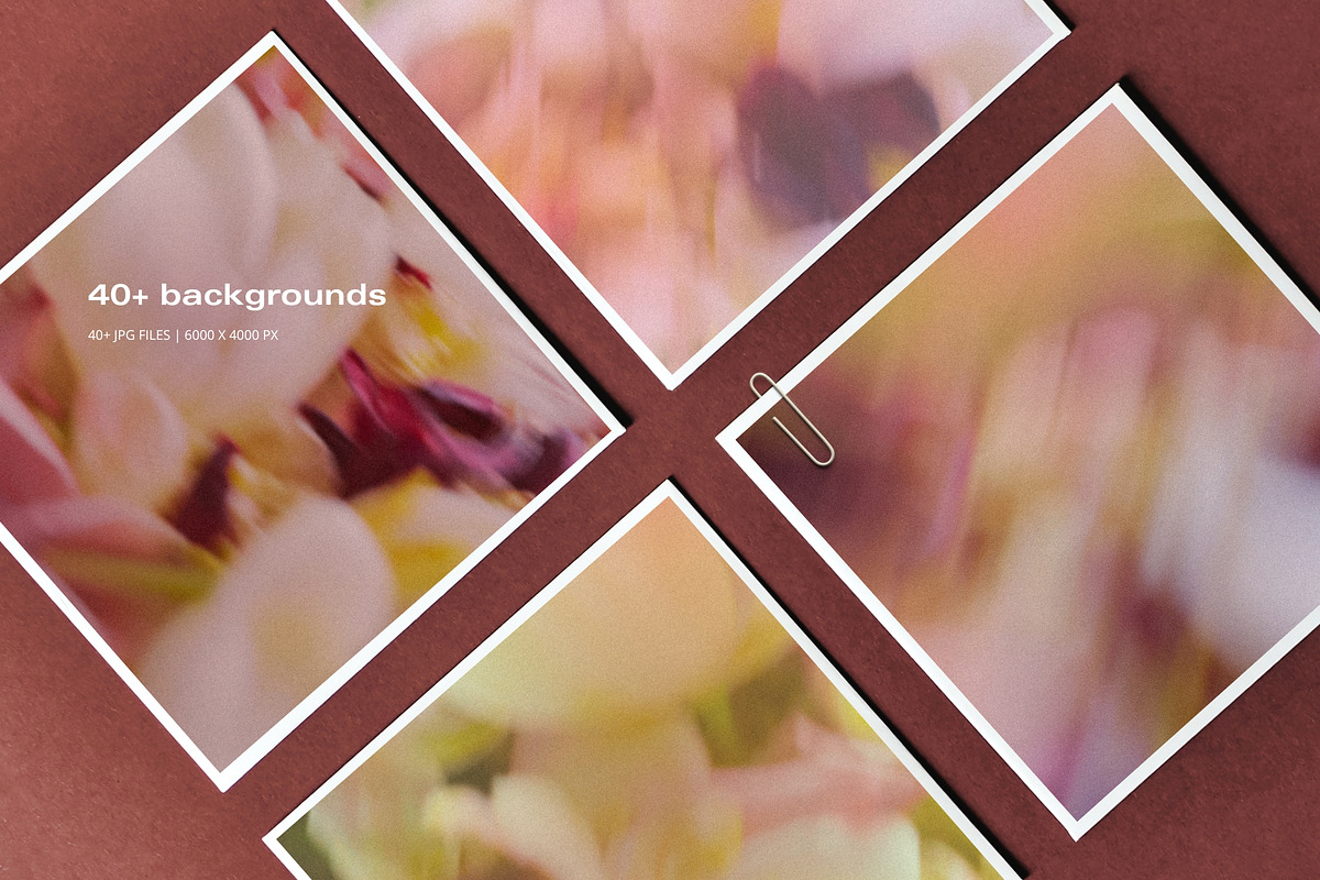 Blur Flower Abstract Backgrounds, a Background Graphic by eclosque (Photo 3 of 27)