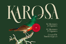 Karosa Modern Serif Display Font