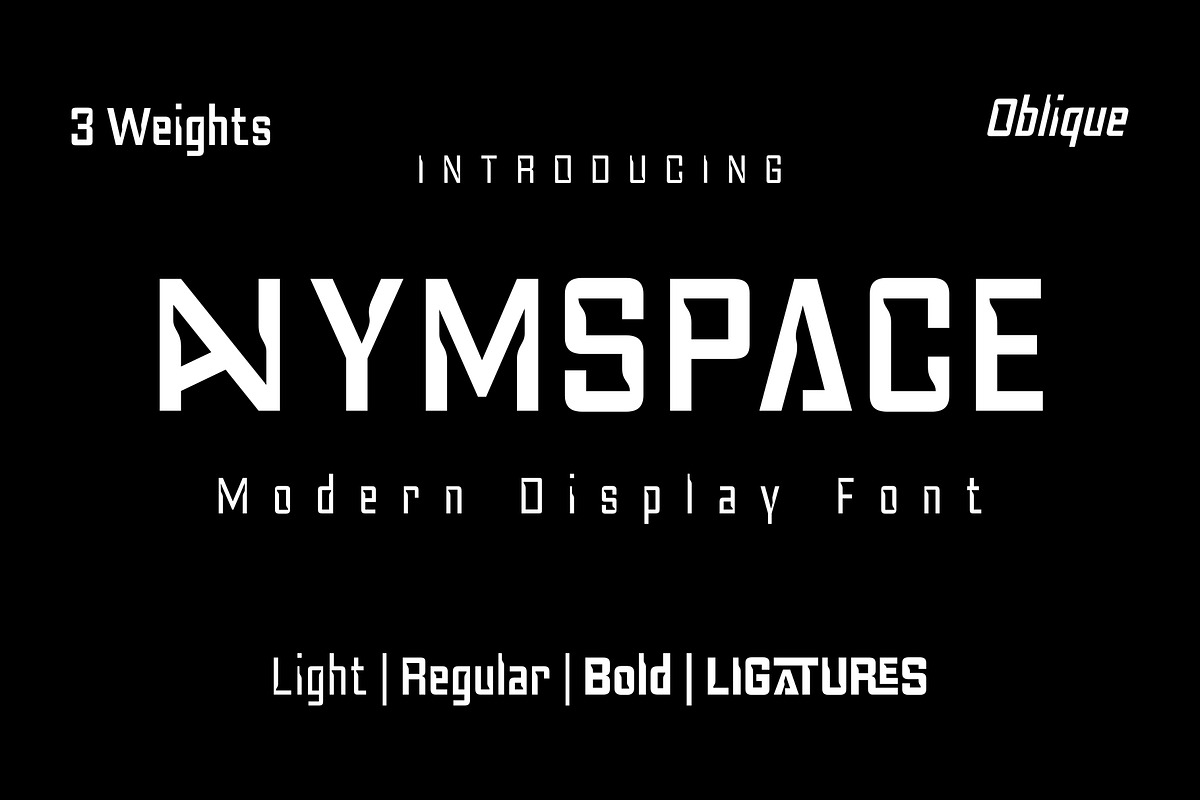 Anymspace - Modern Display Font, a Sans Serif Font by Attractype (Photo 1 of 8)
