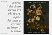 The Perfectly Migthem (11 Font), a Serif Font by IM Studio (Thumbnail 4 of 9)