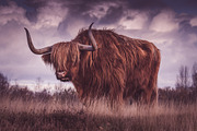 300 Professional Lightroom Presets, an Action Add-On by Madison Colt Studios (Thumbnail 20 of 29)