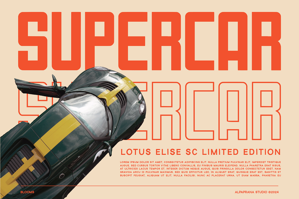 Blooms - Display Font, a Sans Serif Font by Alpaprana (Photo 3 of 11)