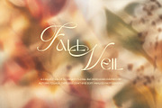 Blurry Floral Gradient Backgrounds, a Background Graphic by Kat Anti (Thumbnail 1 of 7)