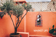 Orange Lightroom Mobile Presets, an Action Add-On by in between details (Thumbnail 8 of 12)