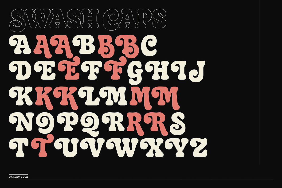 Oakley Typeface, a Serif Font by Mark van Leeuwen (Photo 4 of 10)