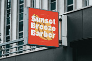 Comfort Pleasure Display Font, a Serif Font by timelesstype.co (Thumbnail 3 of 20)