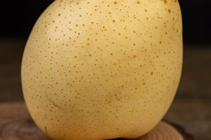 one white pear on the table, sweet fresh white pear, a Photo by rsoollAI