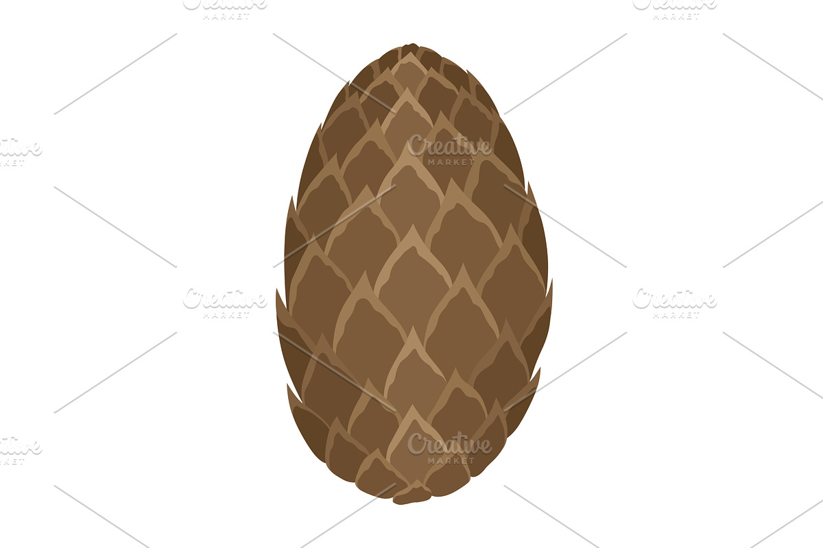 Fir or pine cone. Nature decoration, an Object Illustration by the8monkey