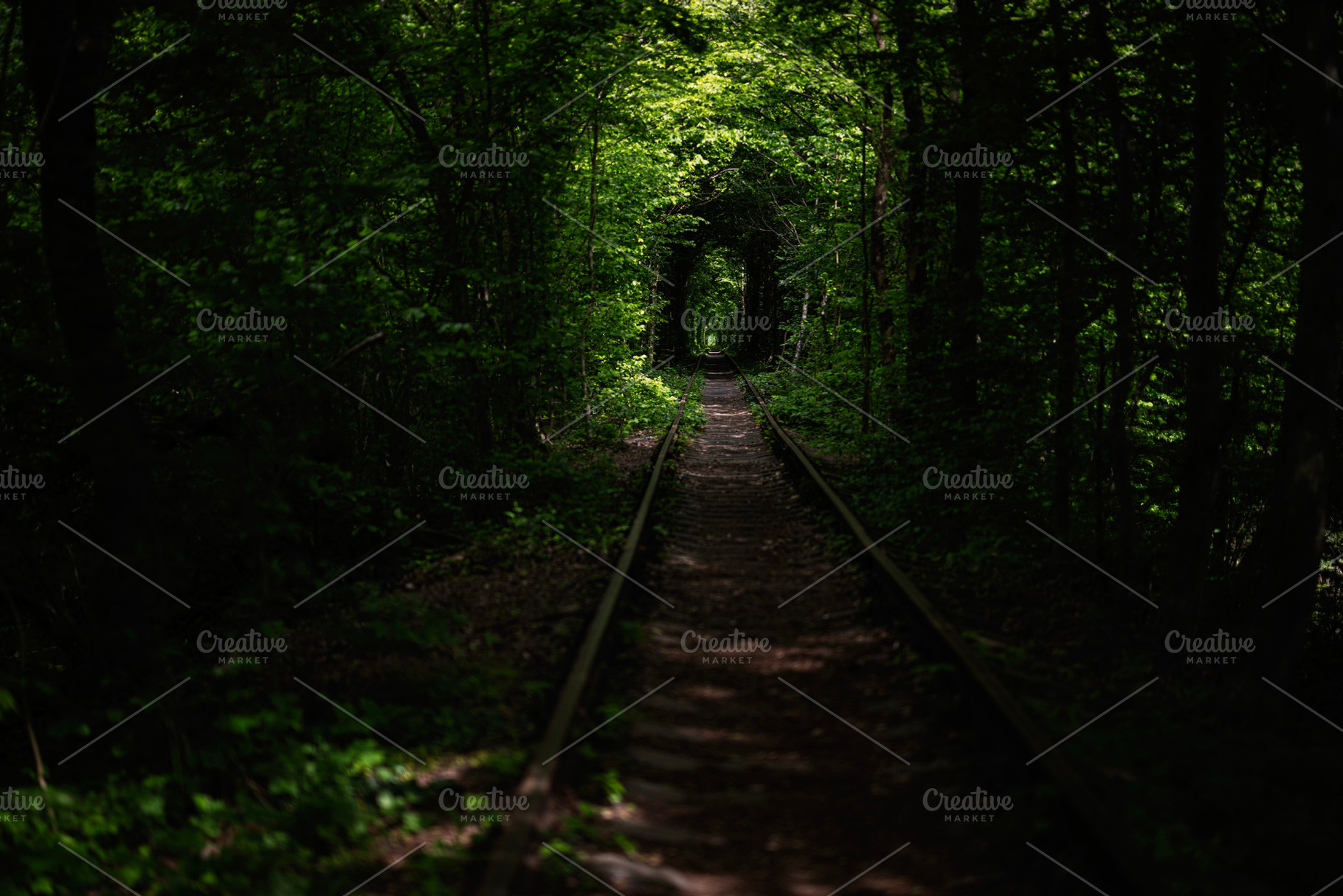 Tunnel of Love. Enchanted railway track passing through lush green forest in so, a Photo by AS photostudio