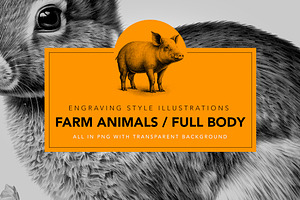 Farm animals - illustrations