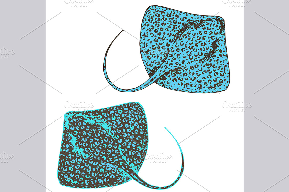 Stingray fish illustrations, pattern, an Animal Illustration by OKart.studio (Photo 5 of 8)