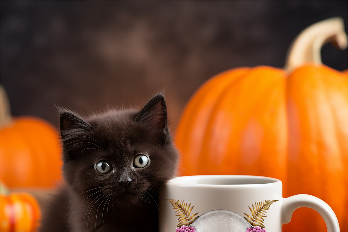 Halloween Botanicals Clipart set., a Seasonal Illustration by Happy Sloth Graphics (Photo 15 of 16)
